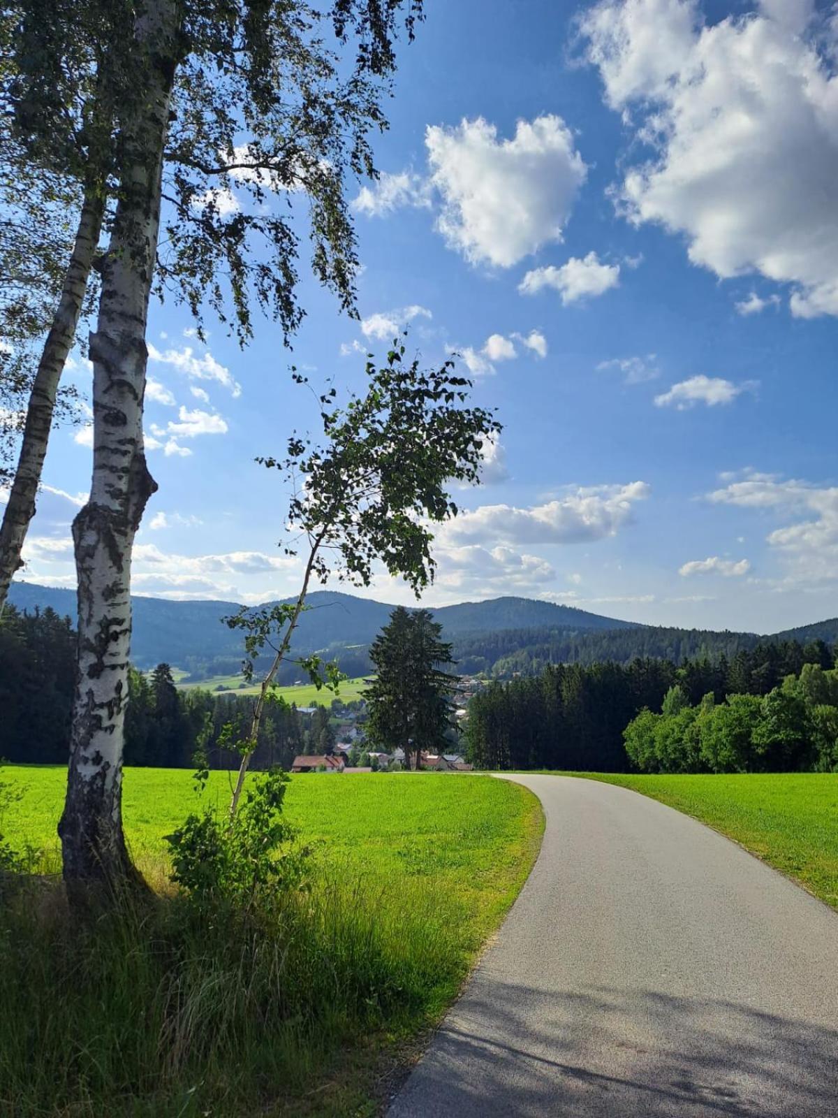 Appartement Am Bach *