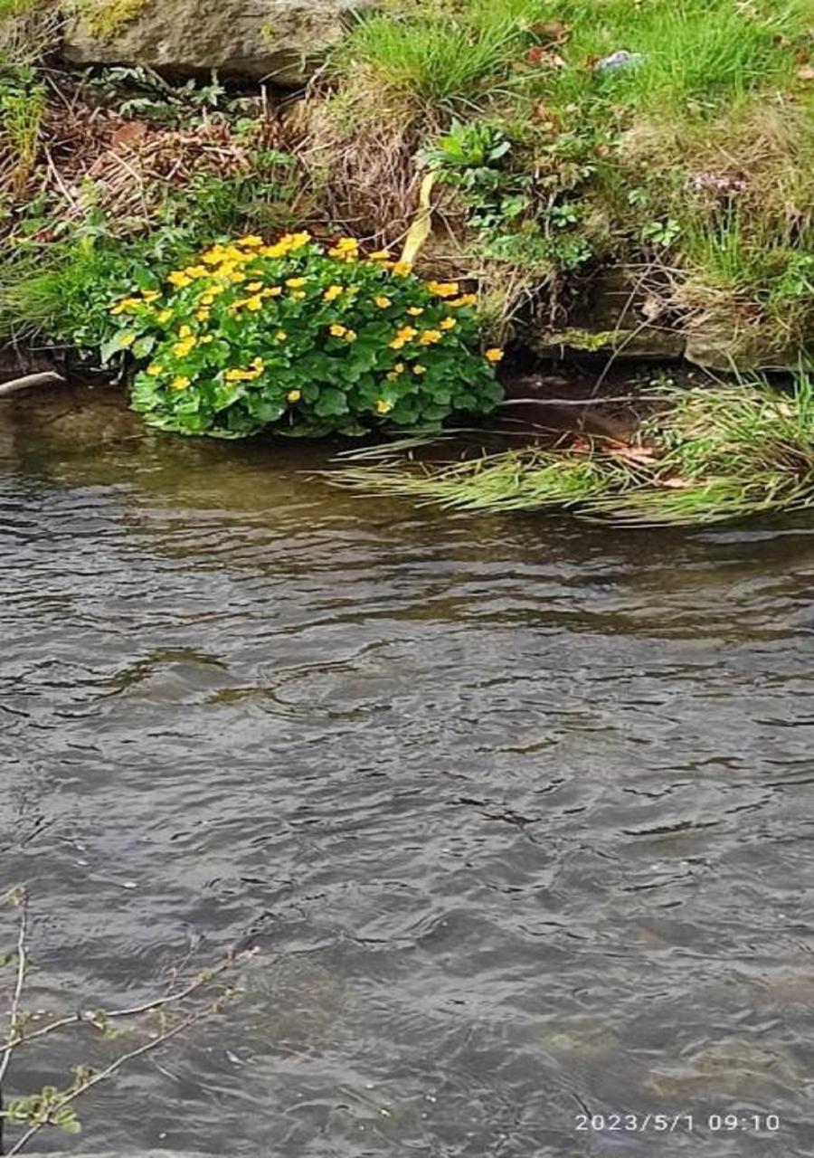 Am Bach * Achslach