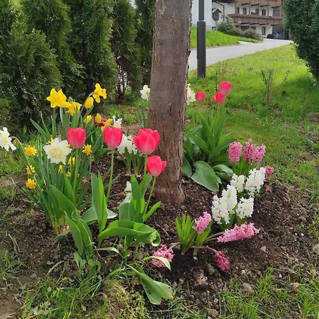Ferienhaus am Bach Achslach Exterior foto