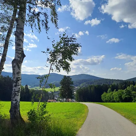 Ferienhaus am Bach Achslach Exterior foto
